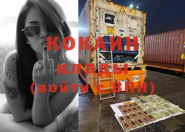СК Осинники