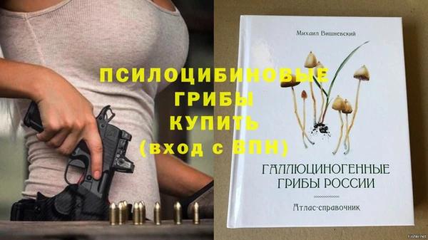 PSILOCYBIN Осташков