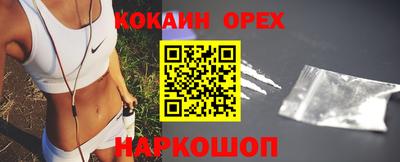 индика Кингисепп