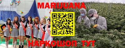 PSILOCYBIN Кимры