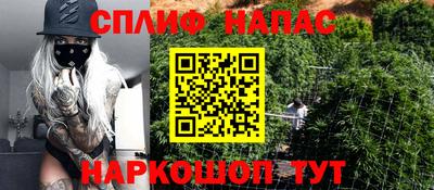 индика Кингисепп