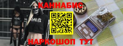 индика Кингисепп
