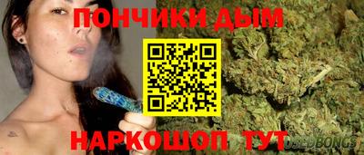 индика Кингисепп