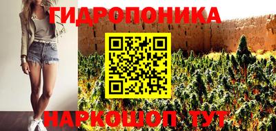 PSILOCYBIN Кимры