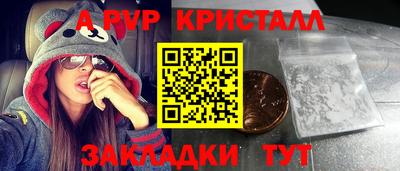 индика Кингисепп
