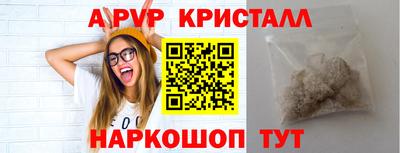 индика Кингисепп