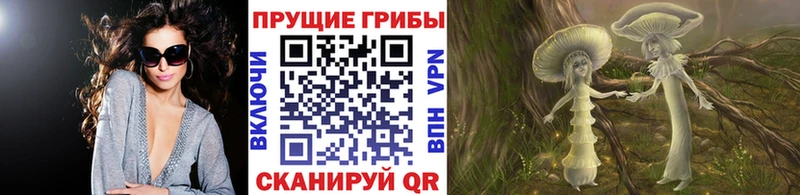 Галлюциногенные грибы Magic Shrooms Сланцы