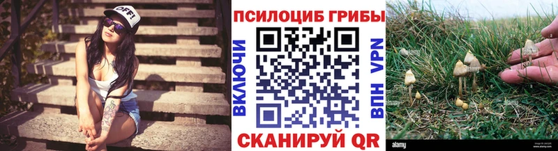 Псилоцибиновые грибы Psilocybe  хочу   Сланцы 