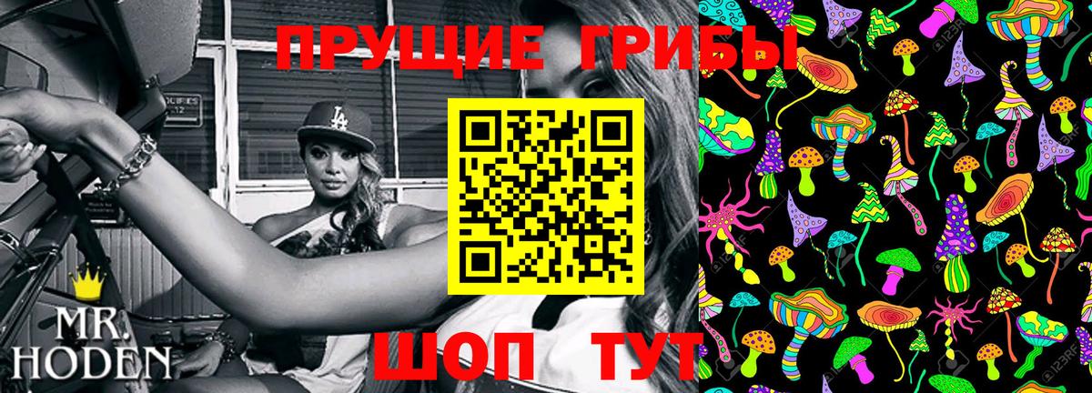 Псилоцибиновые грибы ЛСД Сланцы