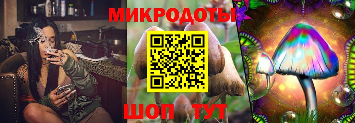 купить   Галлюциногенные грибы прущие грибы  Вход с VPN  Сланцы  Галлюциногенные грибы Magic Shrooms 
